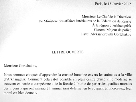 Французские защитники животных обращаются к генералу Горчакову с просьбой не позорить Архангельск и наказать живодеров