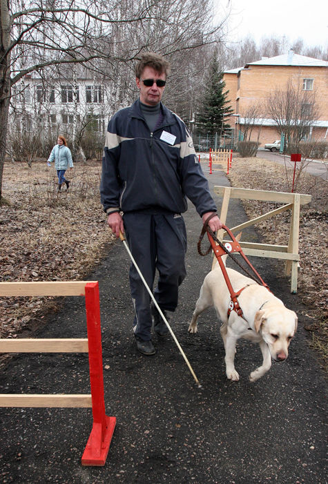 Эксперт — о тонкостях подготовки собак для слепых