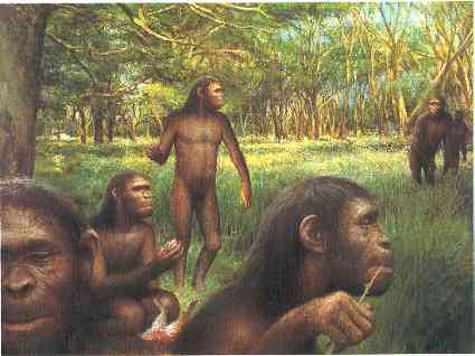 Новый вид меняет наши представления о том, когда разошлись эволюционные «дороги» людей и обезьян