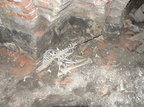 В подвале Верхне-Уфалейского музея нашли старый скелет. Никто и не ожидал, сколько «скелетов в шкафу» потянется за находкой