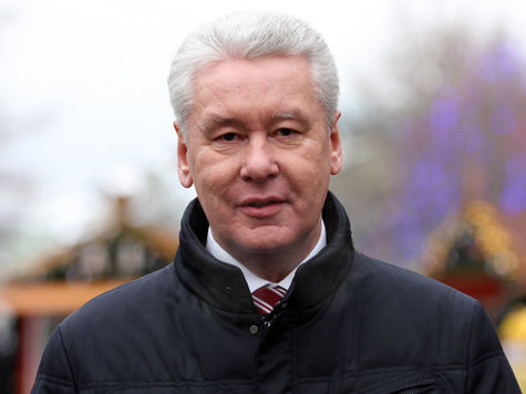 Мосгордума намерена сократить стаж для поступающих на госслужбу 