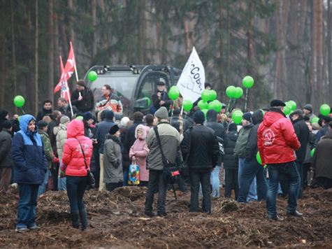 В Подмосковье прошли массовые митинги против вырубок леса