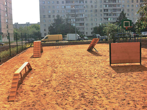 Специальные площадки для выгула и дрессировки домашних животных появятся в парках Москвы