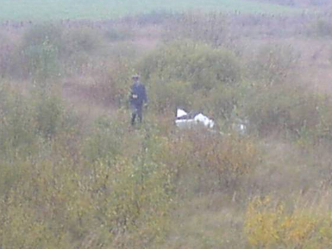 В подмосковье разбился частный самолет: Первые фото