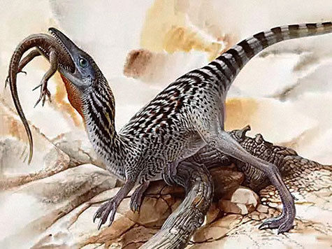 «Родителей» амурского динозавра Ванюши недавно обнаружили
в Забайкальском крае
