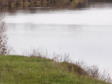 По предварительным данным, останки были захоронены около 80 лет назад 