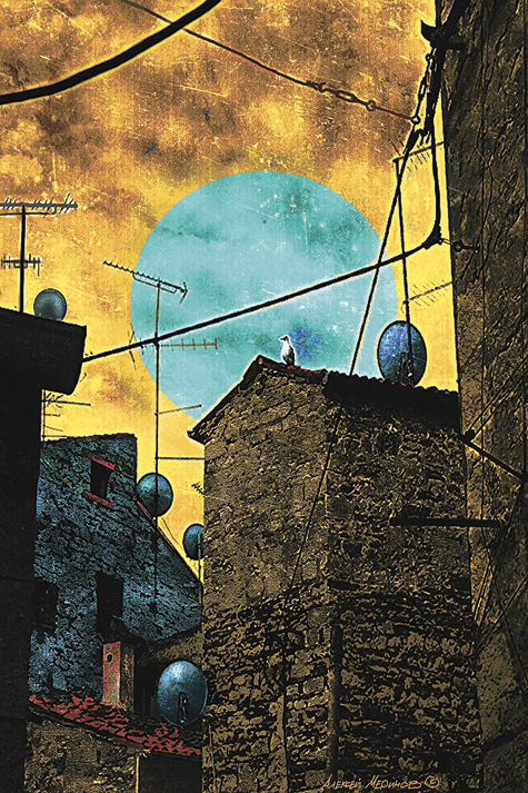 Книжная полка