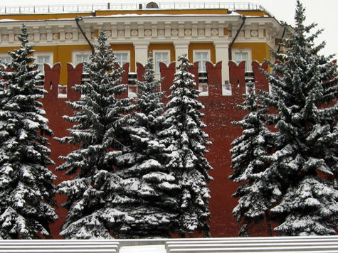 Ароматом хвои наполнится скоро Александровский сад — у стен Кремля начали высаживать ели и пихты