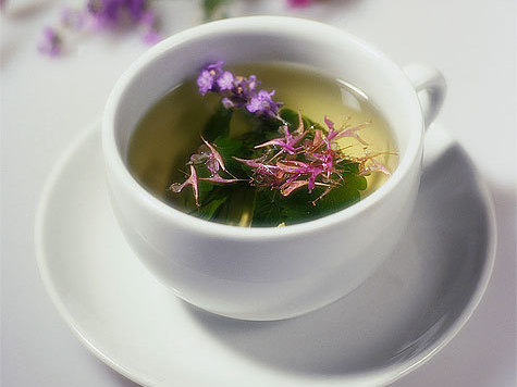 Иван-чай содержит довольно много кверцетина и кемпферола