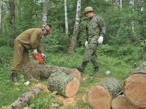 14 гектаров леса очистили в Ленинском районе