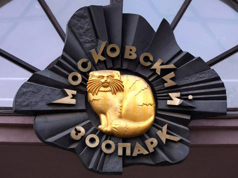 По выходным вход в главный зоологический сад будет стоить 500 рублей