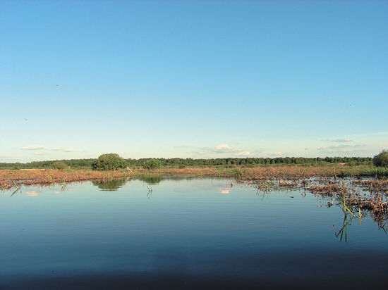 Споры вокруг заказника «Озеро Заболотское и его окрестности» в Сергиево-Посадском районе все еще не утихают