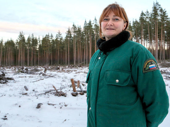 Хозяйка зимнего леса лишилась уже трех машин, защищая свои владения от "самоволок"
