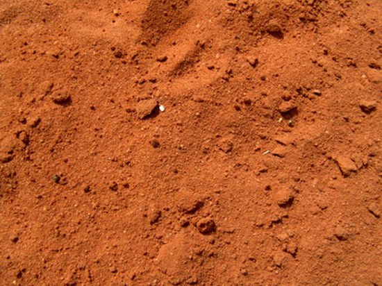 В некоторых местах на Марсе могут обитать живые организмы!