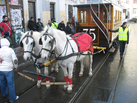 Выставка ретро-трамваев в Москве прошла с громадным успехом

