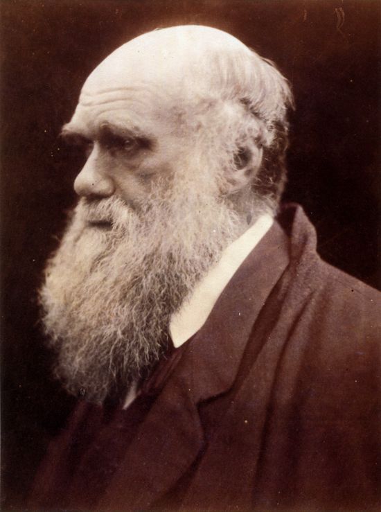 Ученый доказал неправоту великого Дарвина в некоторых вопросах эволюции
