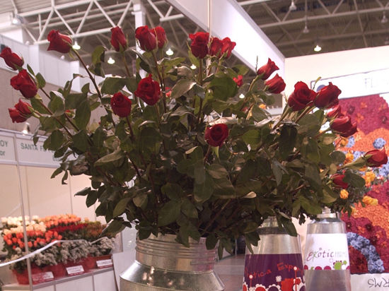 Черные розы в готическом стиле и большие букеты из весенних полевых цветов советуют дарить женщинам на 8 Марта специалисты