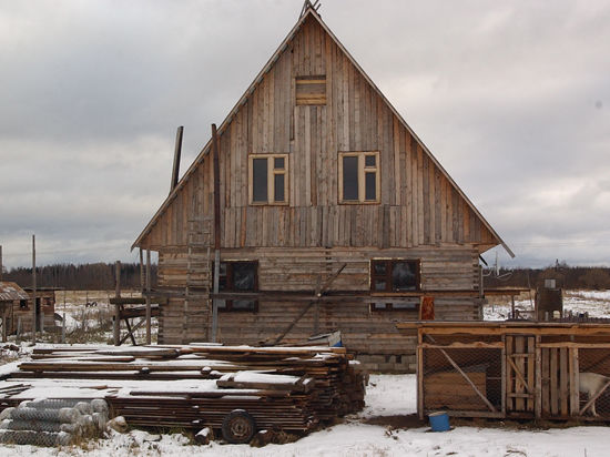 Реплика Александра МИНКИНА