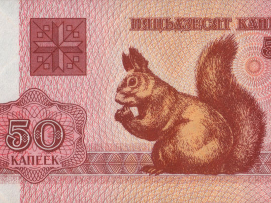 Глава Белоруссии считает, что лучшее средство против инфляции - это "красивые деньги, похожие на евро"