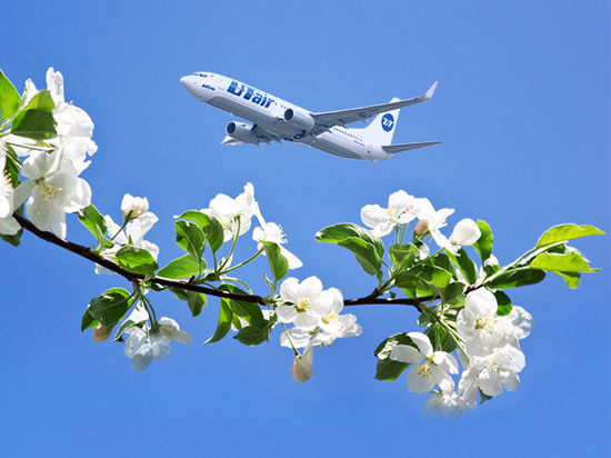 Авиакомпания «ЮТэйр» перешла на весенне-летнее расписание полётов
