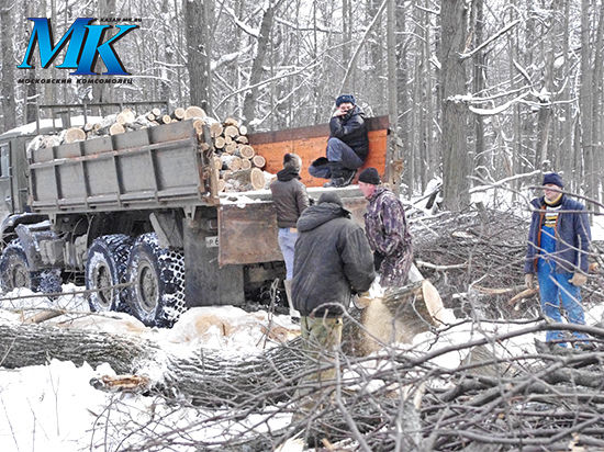 Лес Минобороны в Казани вырубают под присмотром «лесной охраны»