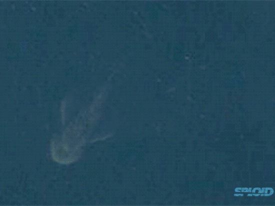 Спутниковые снимки показывают странную биологическую форму в озере Лох-Несс
