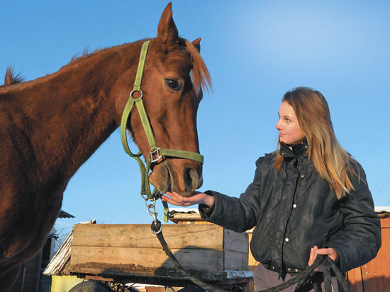 В городе Высоковске Клинского района несколько молодых девушек своими силами организовали приют для лошадей