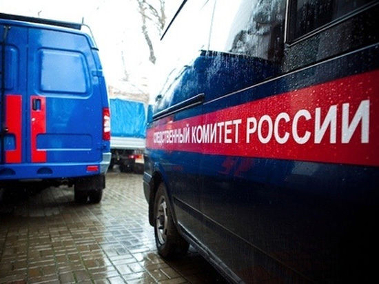 В Аше (Челябинская область) следственные органы начали доследственную проверку по факту смерти четырехмесячного ребенка. 