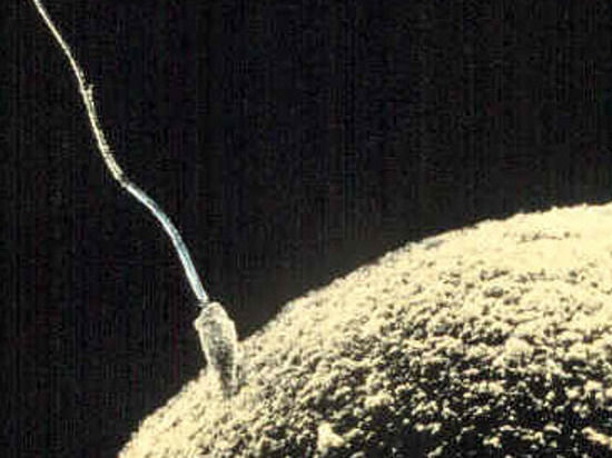 Лаборант одной из клиник репродуктивной медицины, «развлекаясь», заменял замороженную сперму будущих отцов своей собственной