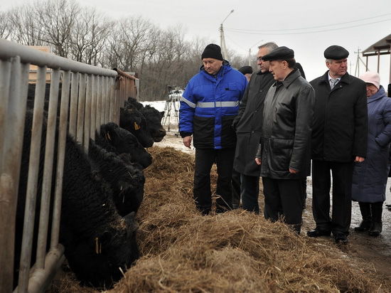 Губернатор Алексей Гордеев посетил с рабочей поездкой Петропавловский муниципальный район.