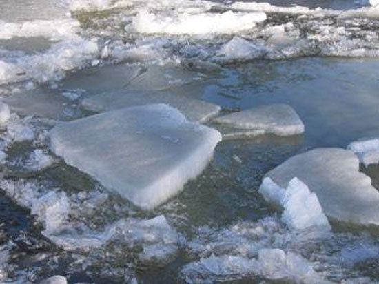 Спасатели городской службы спасения пришли на помощь 75-летнему челябинцу, который оказался на льдине и не мог добраться на сушу. 