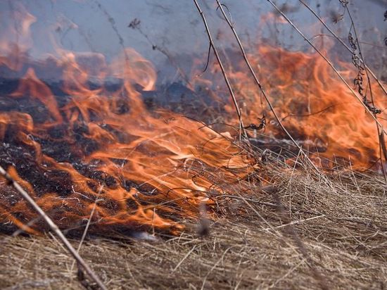 С 15 апреля по 1 октября 2014 года на всей территории Владимирской области установлен пожароопасный сезон 