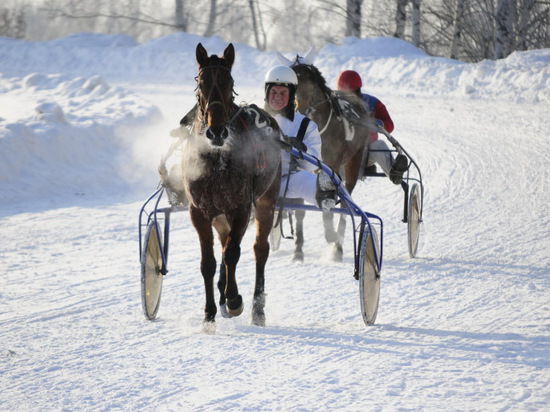 Нижегородский ипподром продолжает работу: лошади здесь будут бегать и в зимний сезон