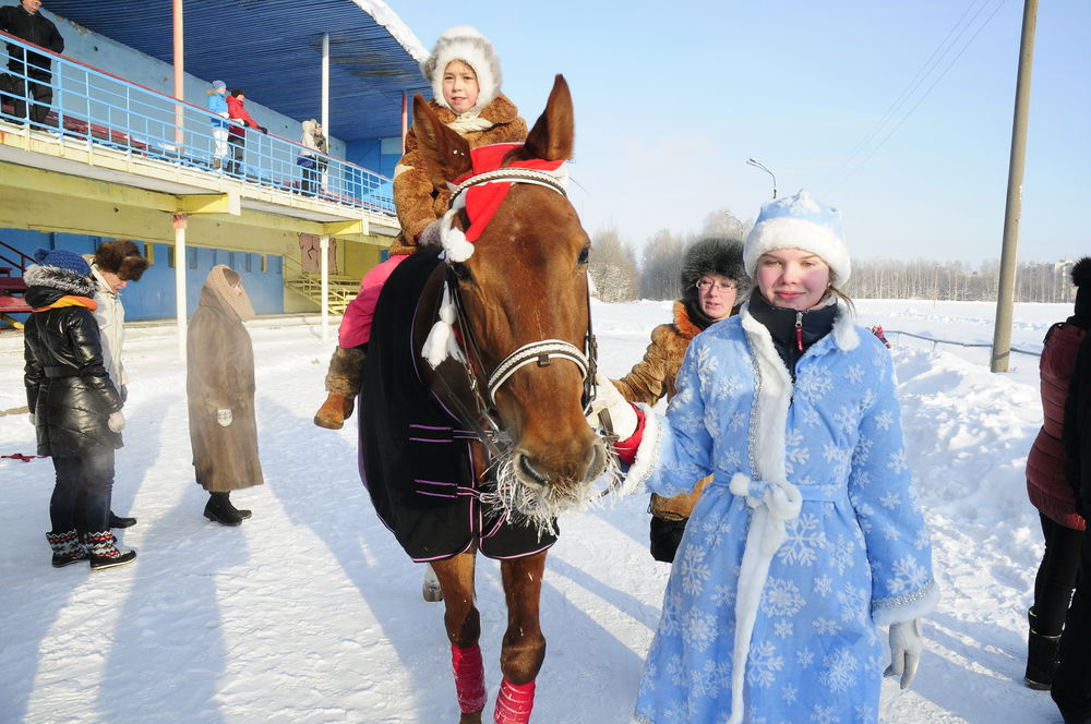 Зимние бега на нижегородском ипподроме