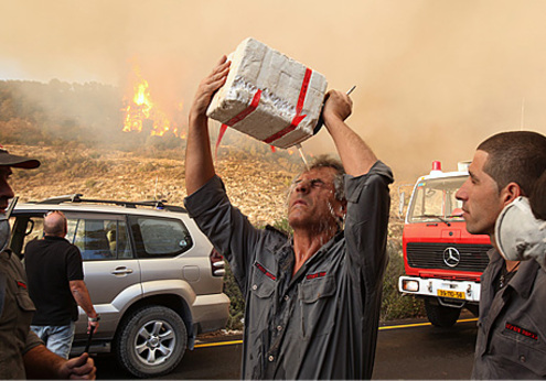 В Израиле бушует крупнейший в истории страны пожар