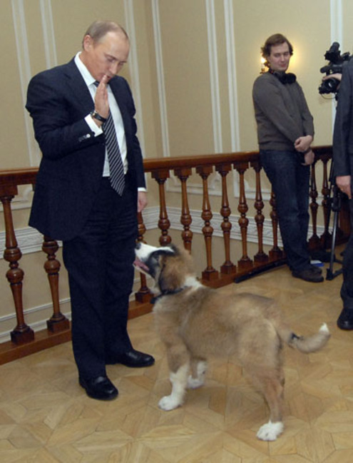 Пятилетний москвич придумал кличку собаке Путина