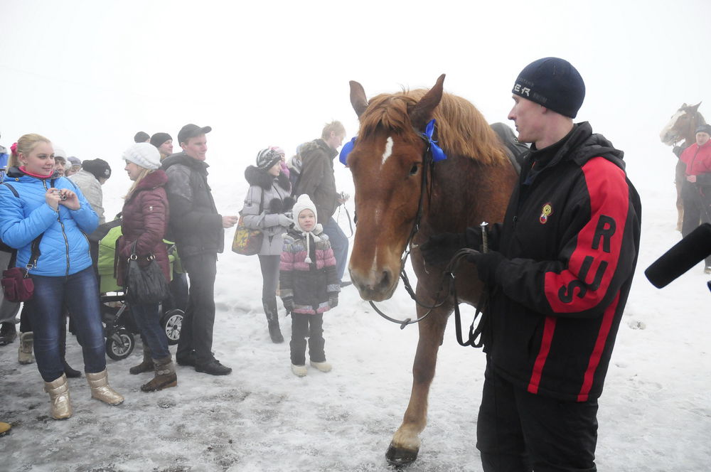 Испытания коней-тяжеловозов на Нижегородском ипподроме