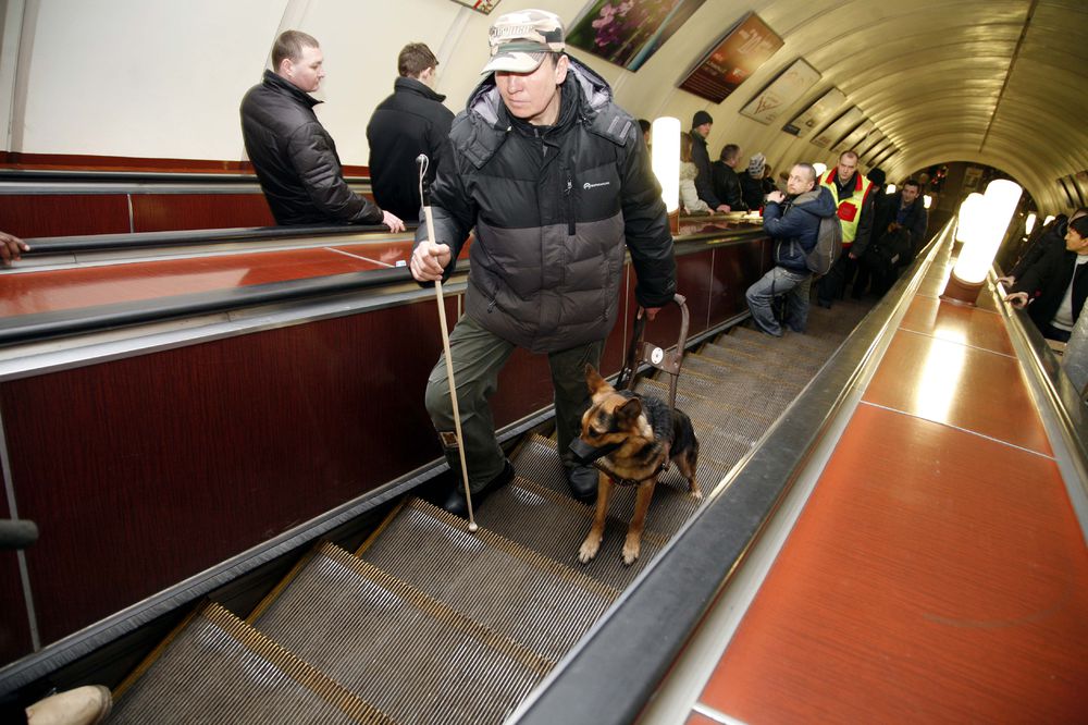 Собаки-проводники в метро