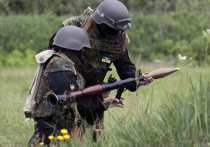 НАТО должна призвать Украину к прекращению спецоперации на юго-востоке