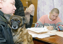 Принуждение к переписи: процедуру предложили сделать обязательной для всех россиян