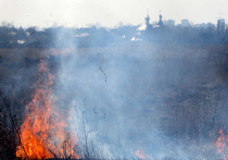 Сухая трава в Новой Москве загорелась из-за хозяйственной пристройки