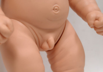 Осторожно — сексуальная игрушка! В детских садах хотят запретить кукол с половыми органами
