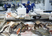 Цены на морепродукты вырастут на 30%