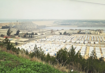 От войны, вверх по течению: как живут сирийские беженцы в турецком лагере у Евфрата