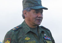 Шойгу: Россия отозвала войска от границ Украины, диверсантов там нет