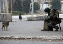 "Грады" и гаубицы: ОБСЕ обнаружила массированное движение войск в окрестностях Донецка