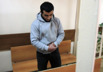 Вызвавший погромы в Бирюлево Зейналов получил 17 лет за убийство Щербакова