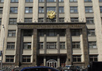 Советники президента пожалуются на Госдуму в Верховный суд