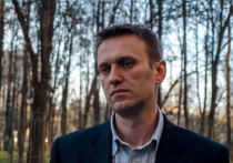 Навальный: "Крым - это бутерброд с колбасой, что ли, чтобы его туда-сюда возвращать?"