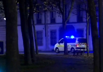 Психопат-исламист задавил одиннадцать человек во Франции, крича "Аллах акбар"